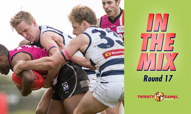 InTheMix.png George Horlin-Smith will be right in the mix this week. - Geelong Cats